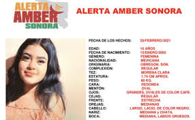 Activan Alerta Amber para la menor Schelssi Mendoza López desaparecida en  Sonora